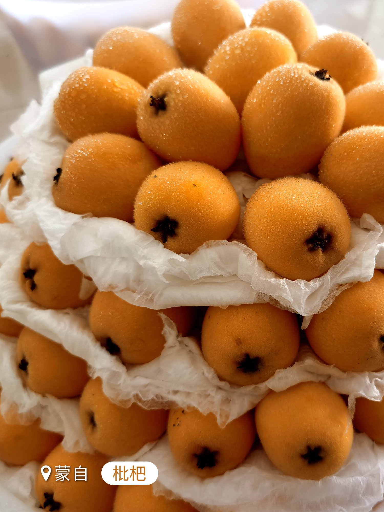 云南省文化和旅游厅