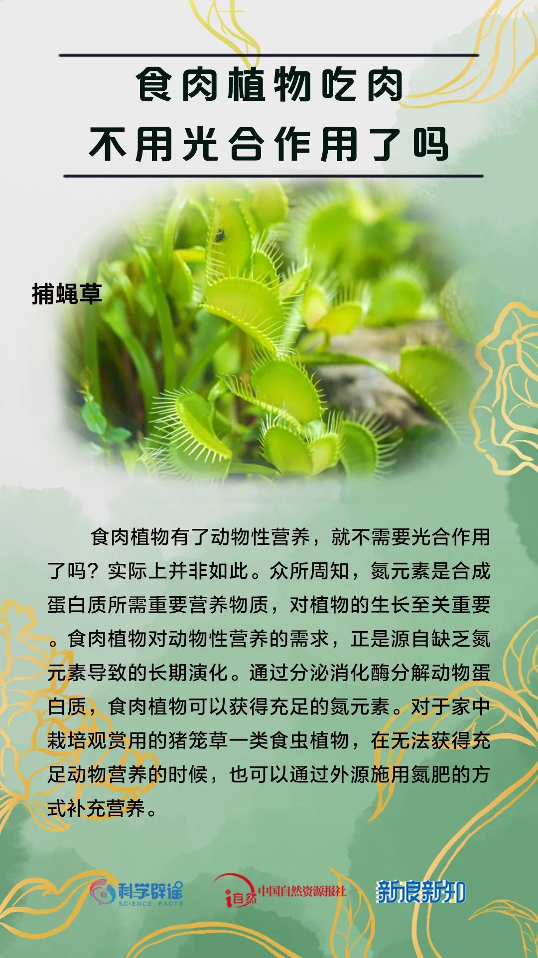 美丽云南微科普