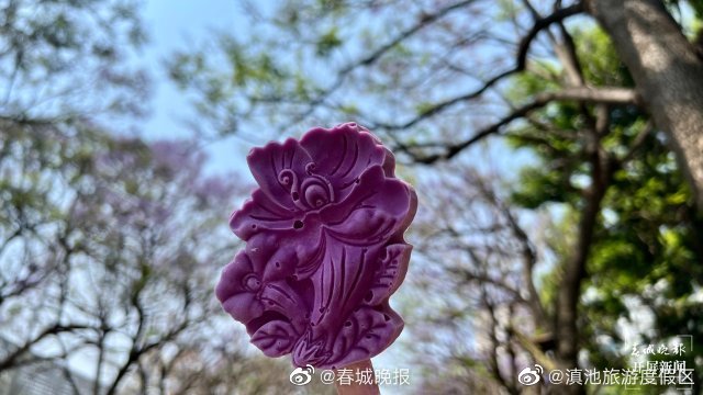 滇池旅游度假区