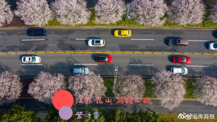 呈贡发布