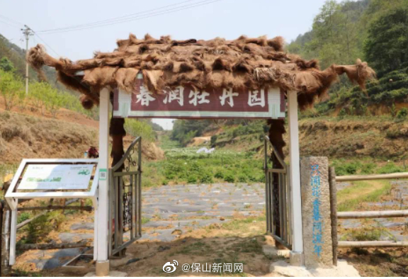 保山新闻网
