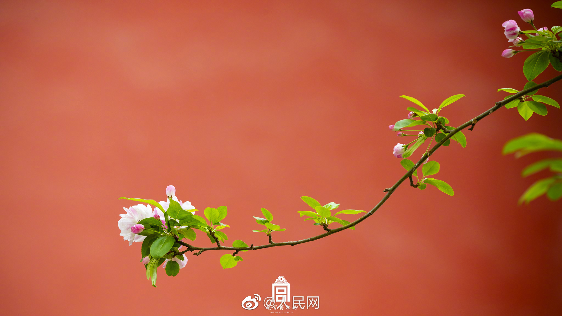 人民网