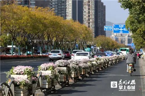 掌上春城