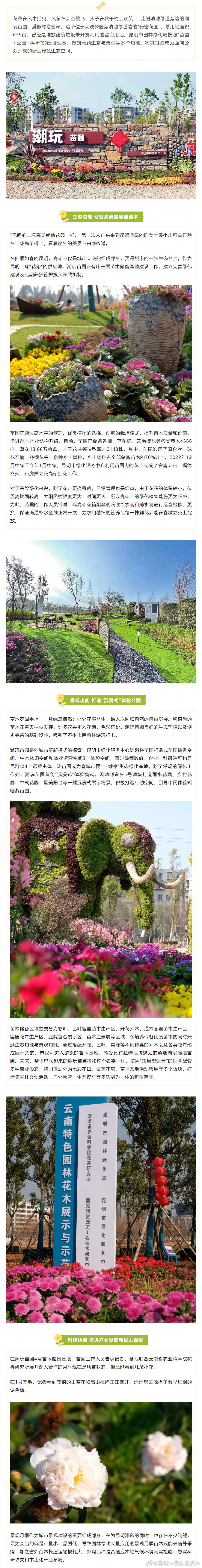 昆明市西山区发布