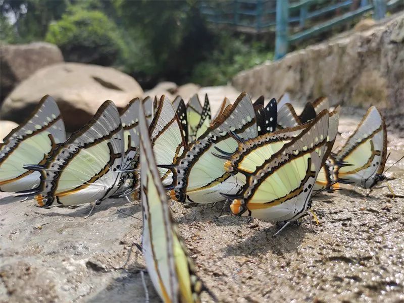 红河文旅