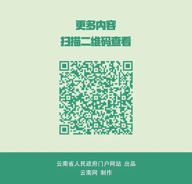 云南省人民政府网