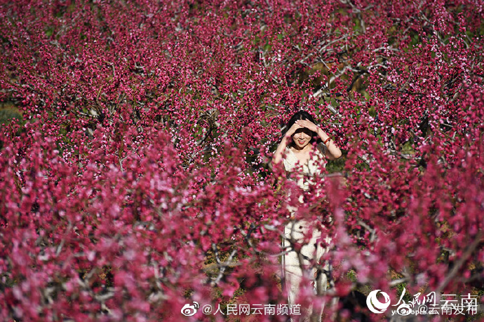 “云南发布”微博