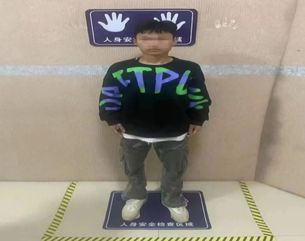 掌上春城