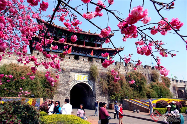 云南省文化和旅游厅
