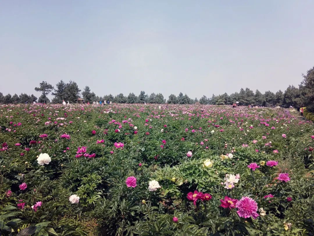 昆明信息港/cnkmxxg