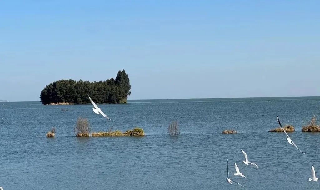 晋宁诗意的栖居地