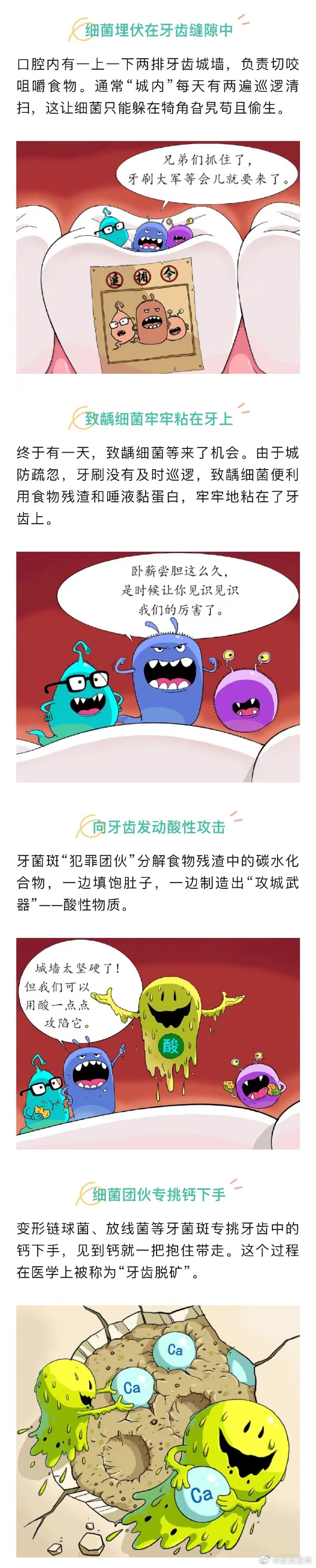 呈贡发布