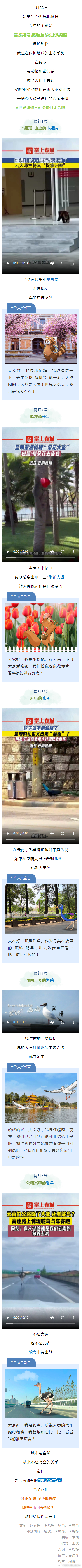 逛街、进校、吃花……神奇动物在昆明丨有一种叫云南的生活