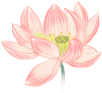 宜良之窗