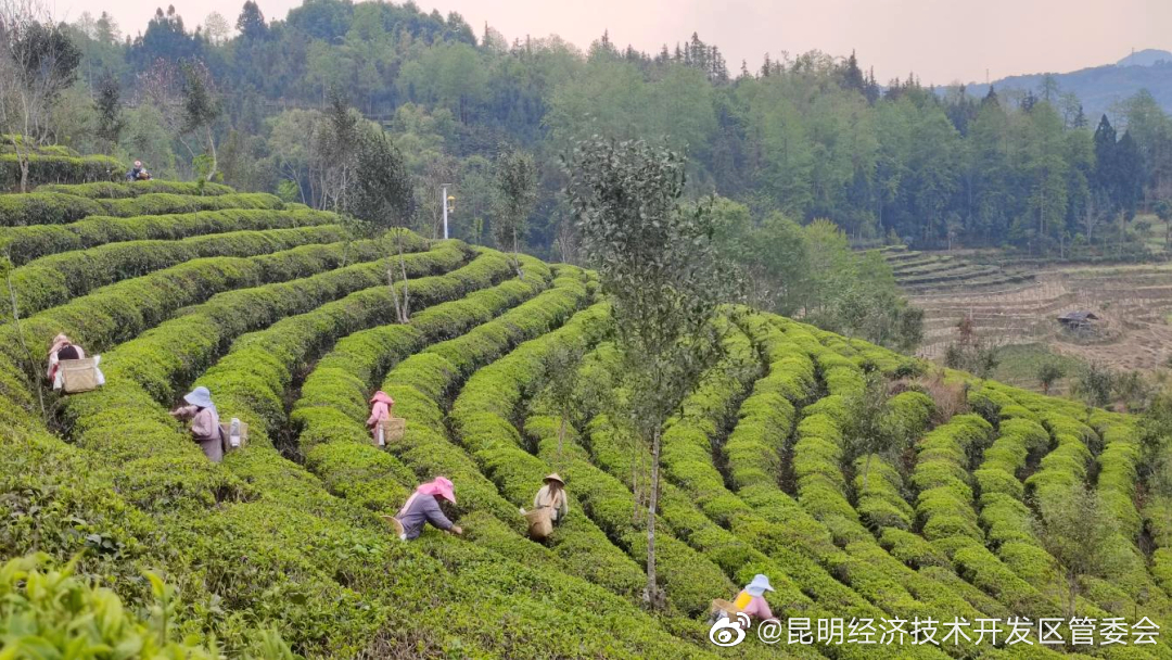 昆明经济技术开发区管委会
