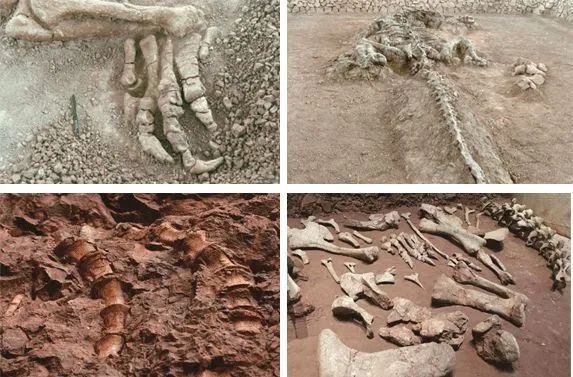 云南省文化和旅游厅