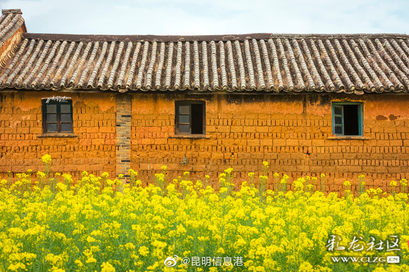 昆明信息港（微博）