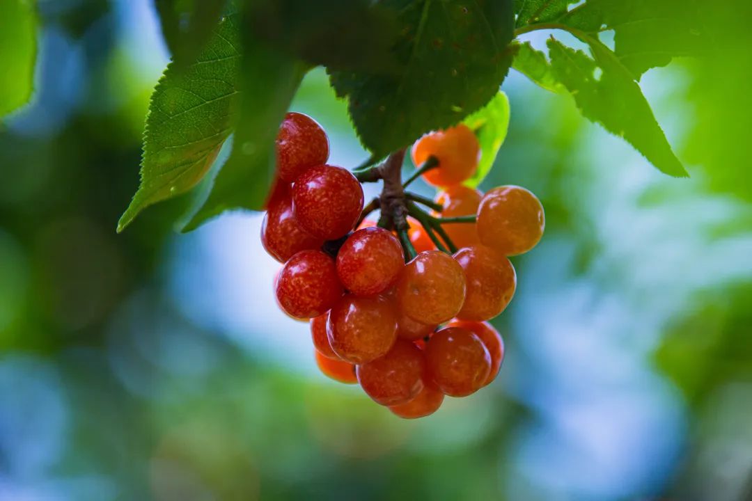 晋宁诗意的栖居地