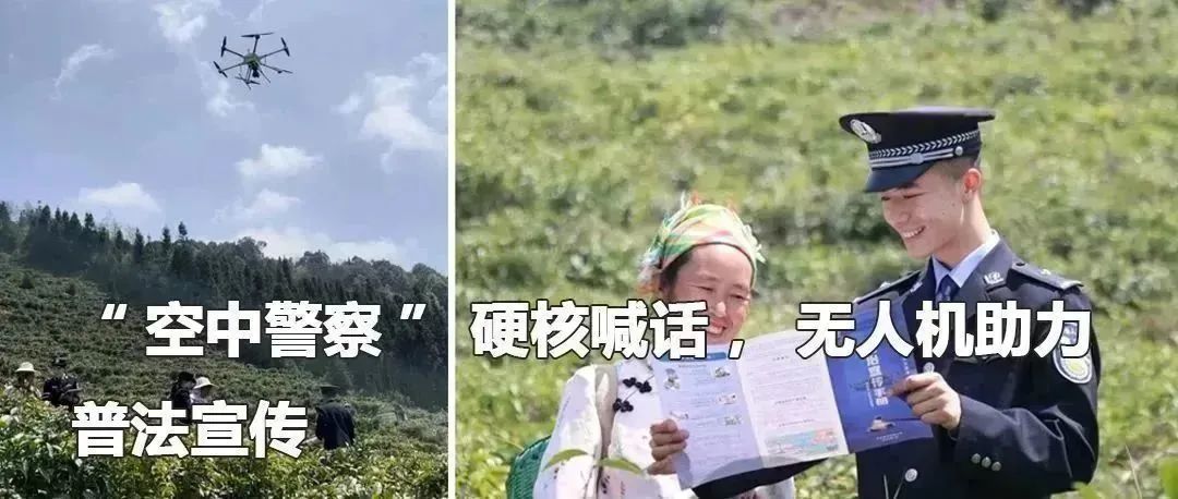 云南政法