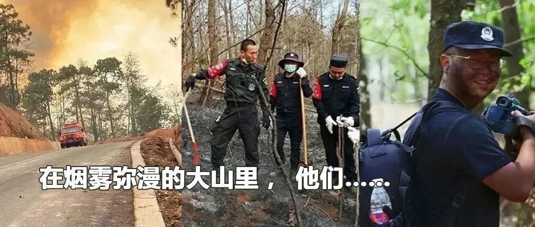 云南政法