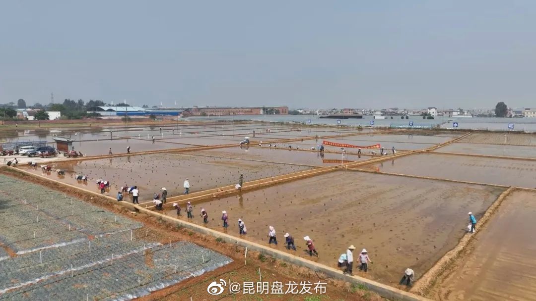 昆明盘龙发布