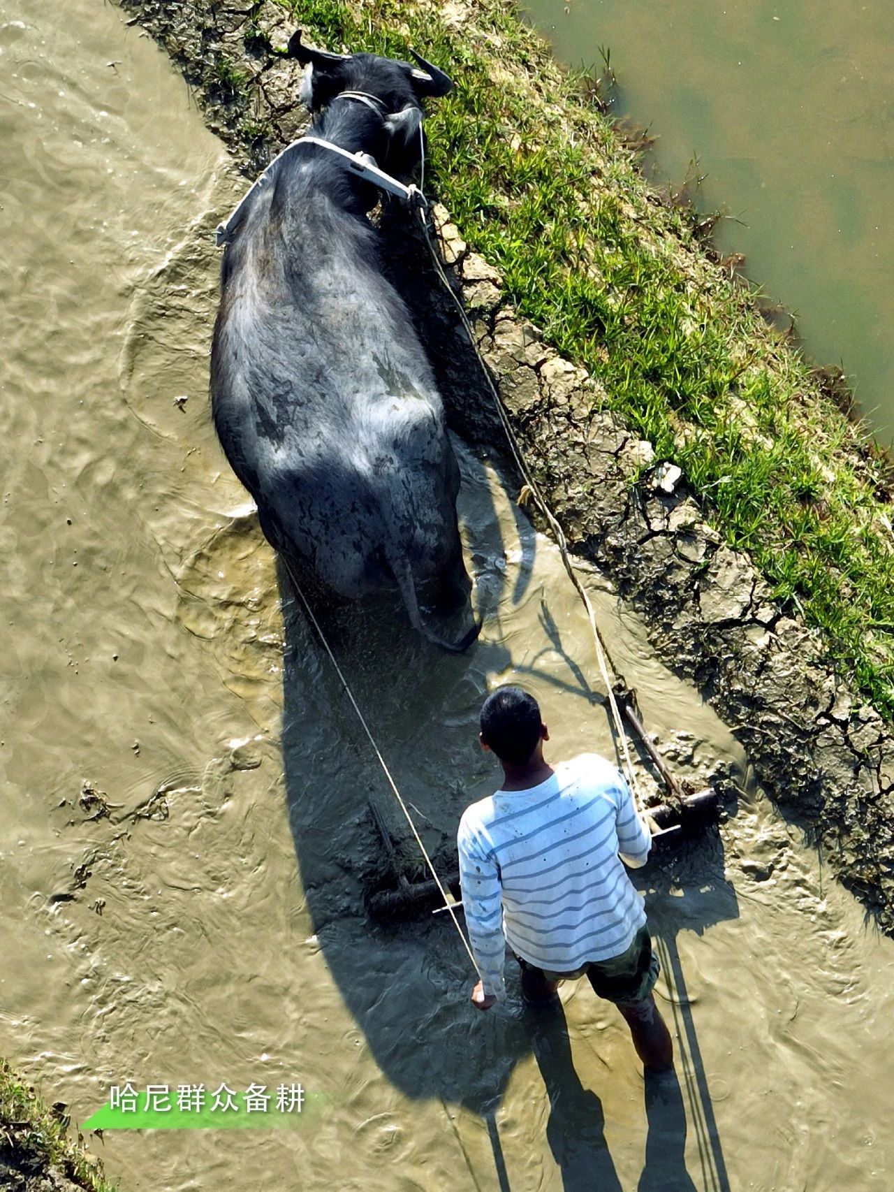 云南省文化和旅游厅