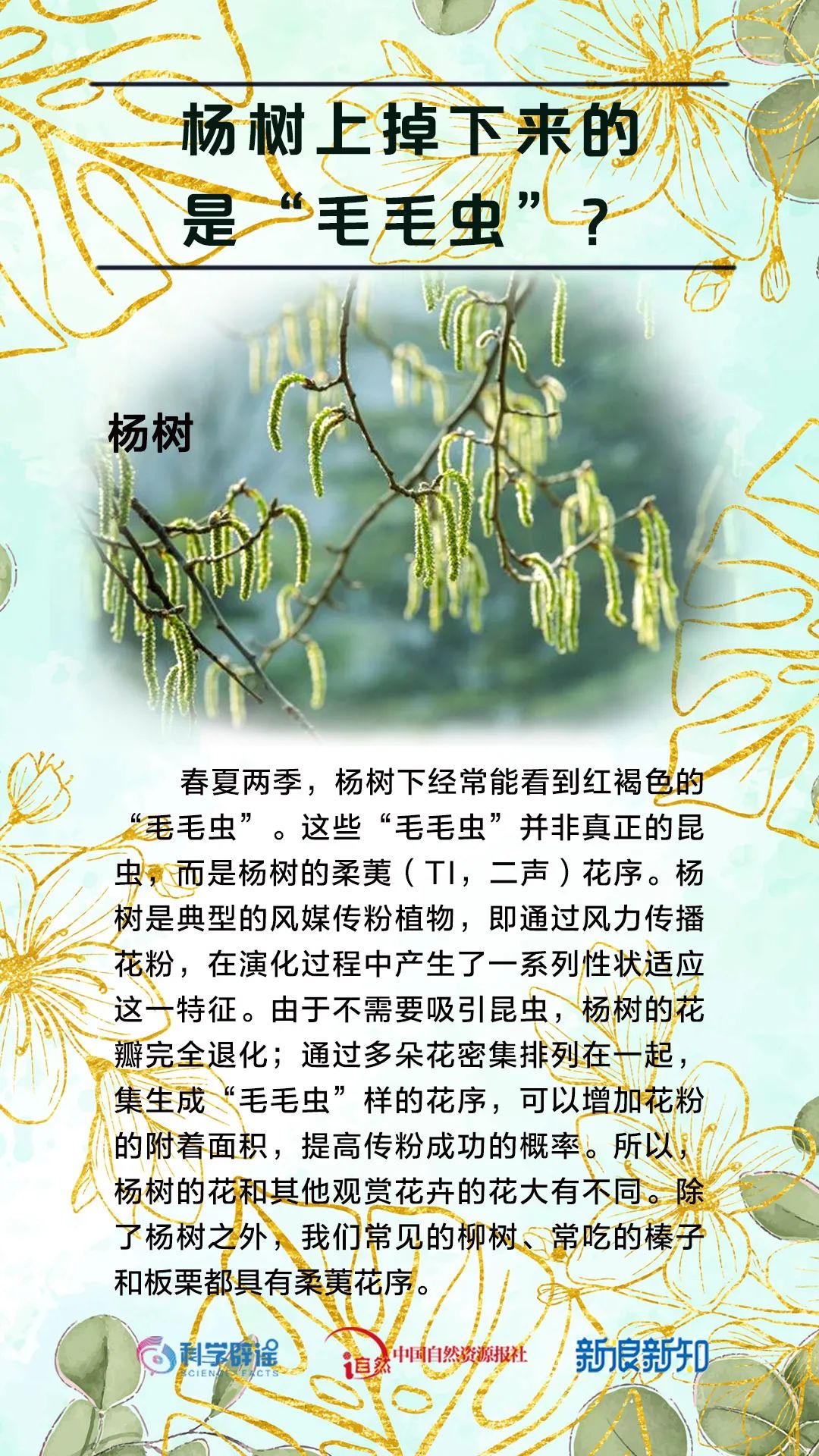 美丽云南微科普