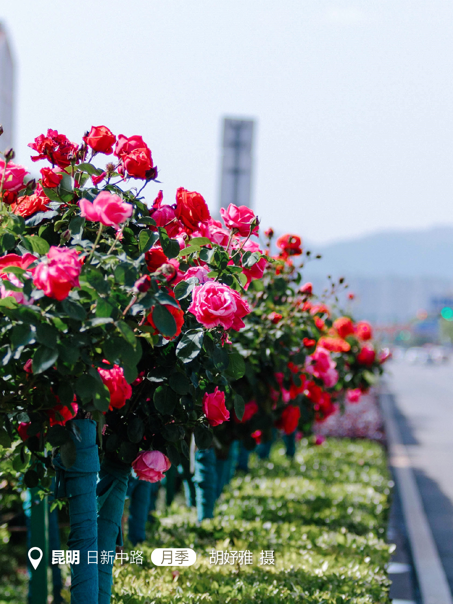 云南省文化和旅游厅
