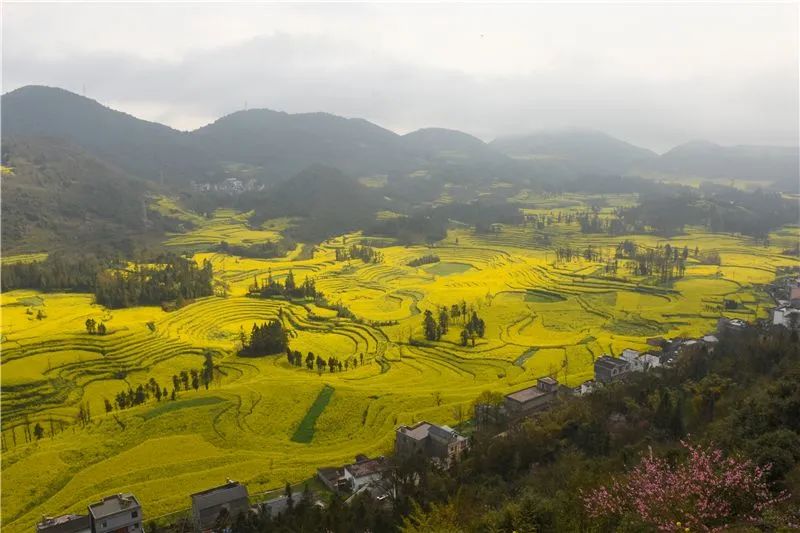 保山新闻网