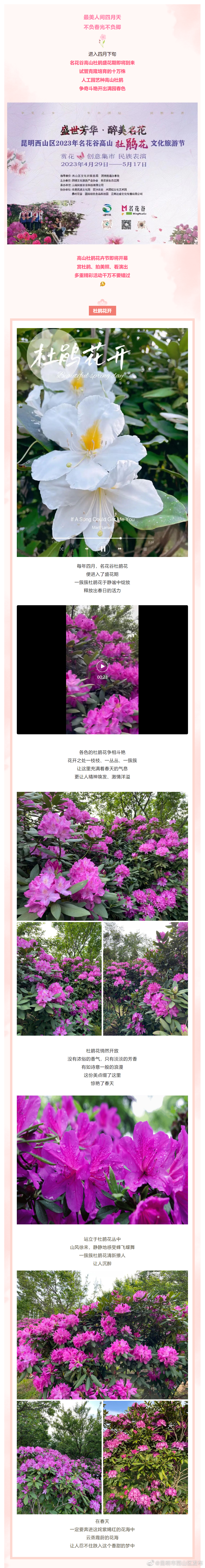 昆明市西山区发布