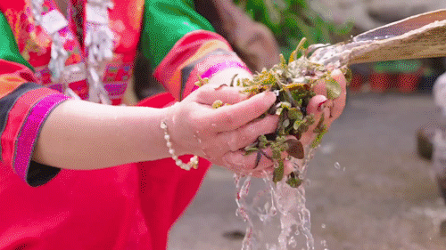 云南省文化和旅游厅