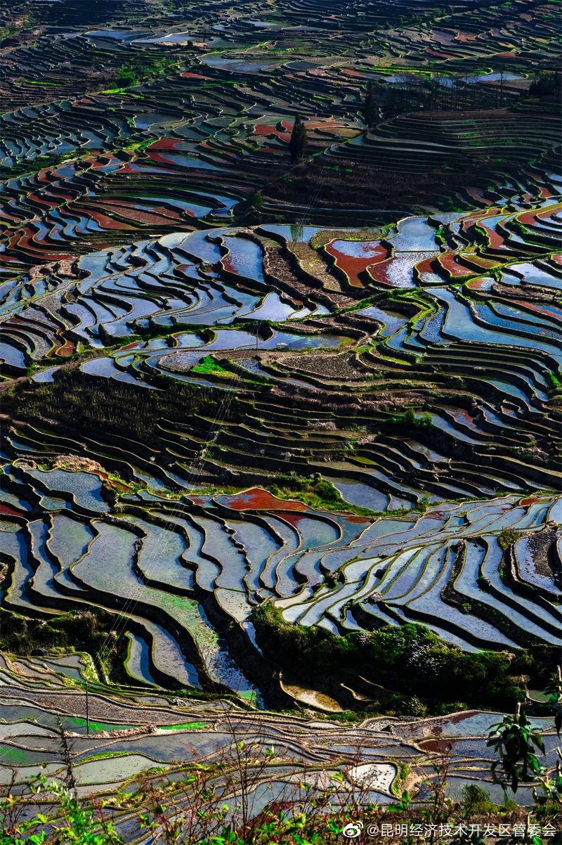昆明经济技术开发区管委会