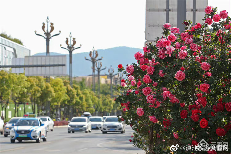滇池旅游度假区
