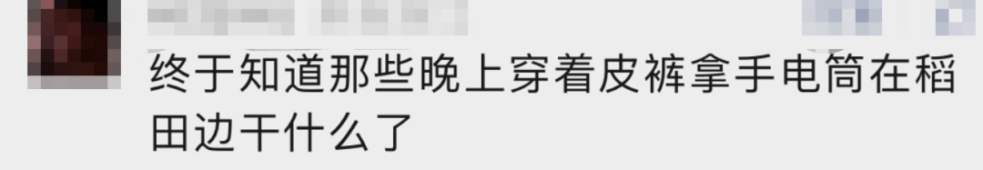 春城晚报