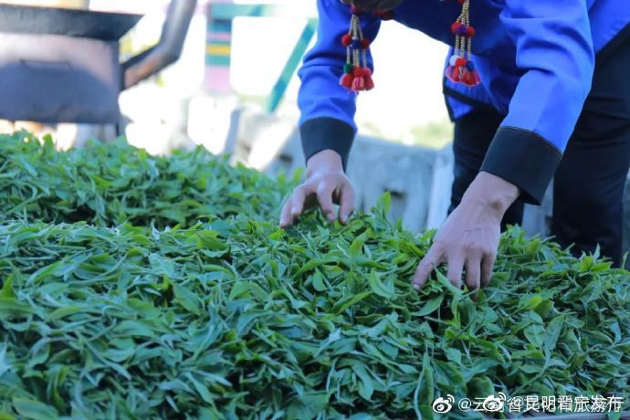 昆明晋宁发布