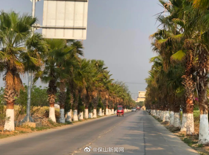 保山新闻网