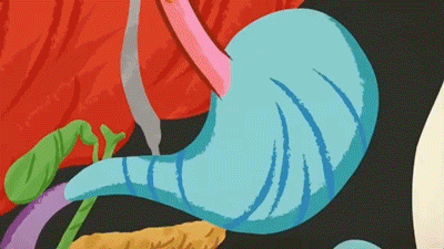 各种食物在胃中会停留多久？