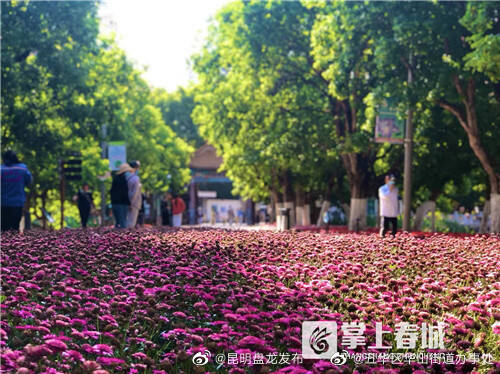 昆明盘龙发布