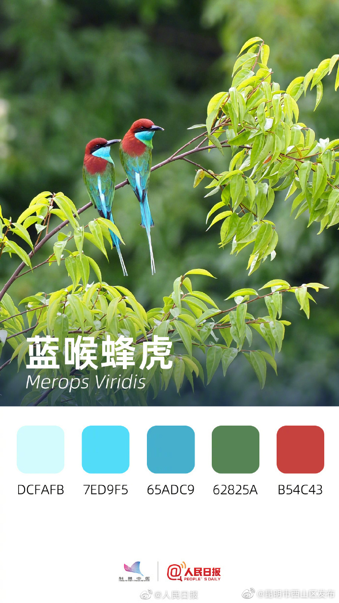 昆明市西山区发布