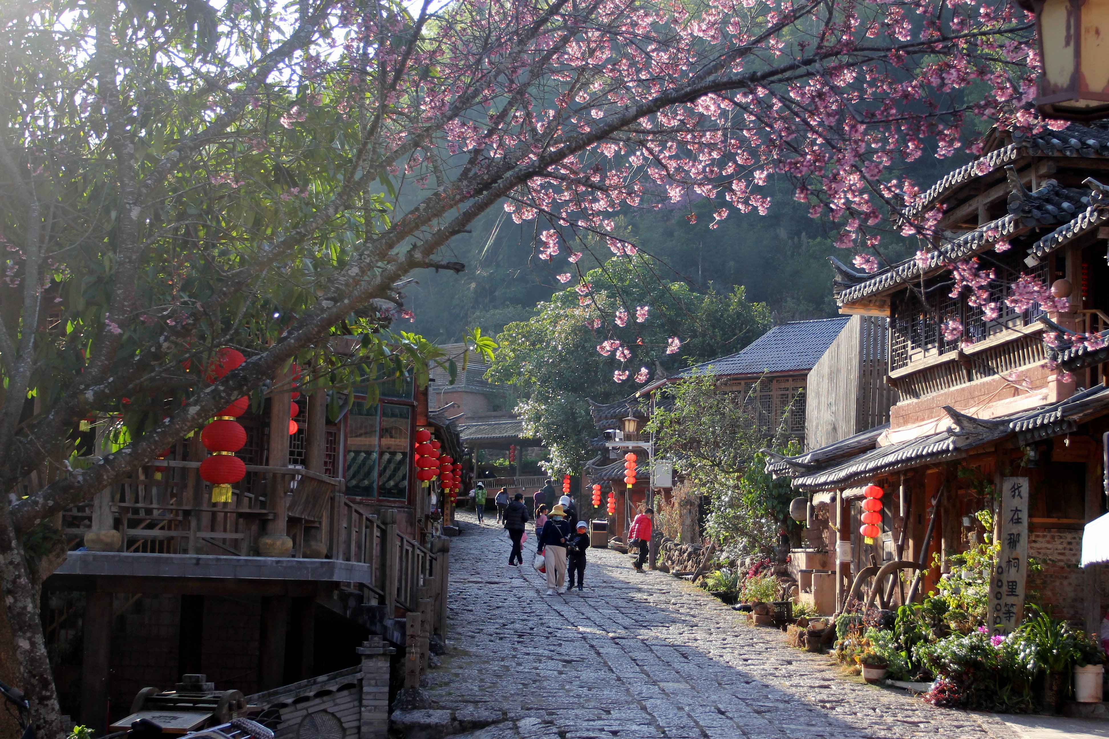 云南省文化和旅游厅