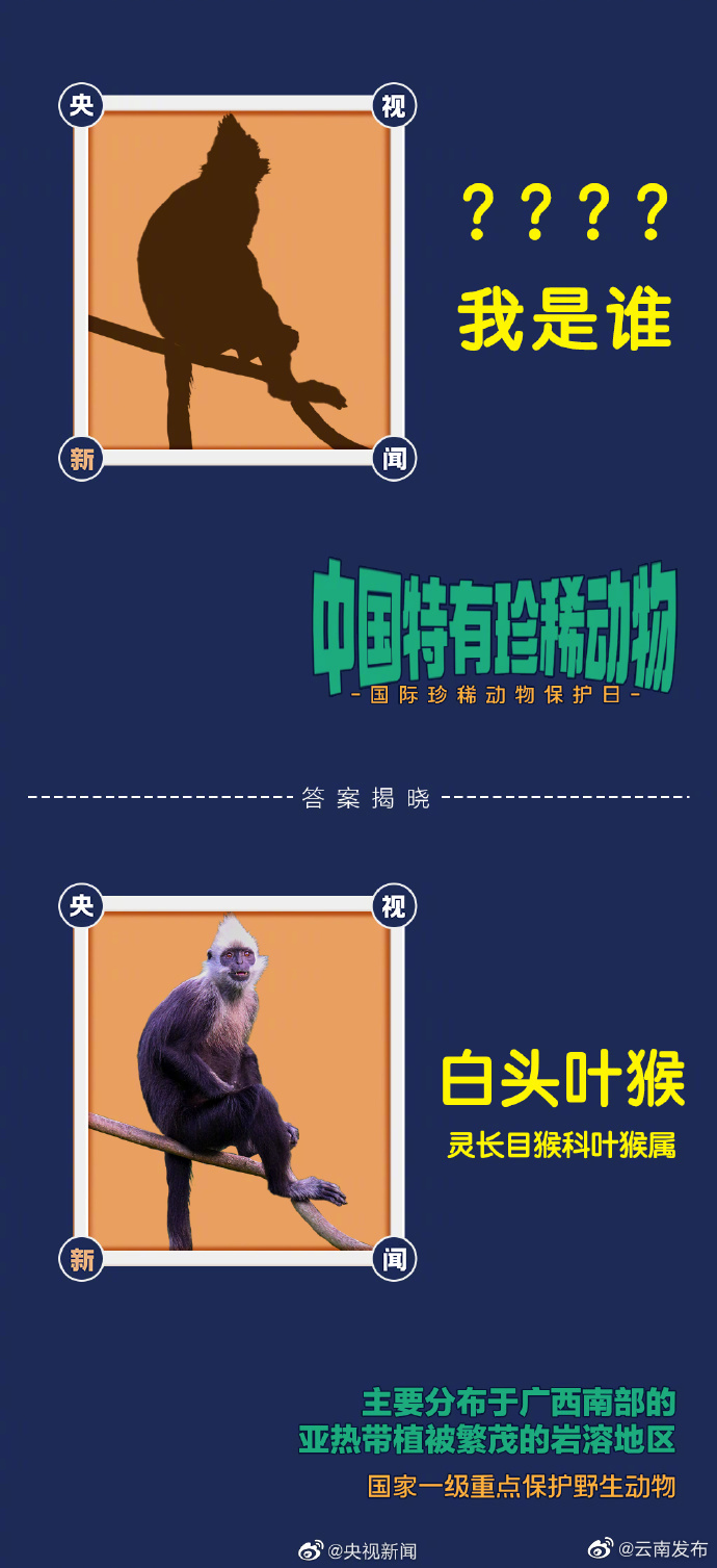 “云南发布”微博