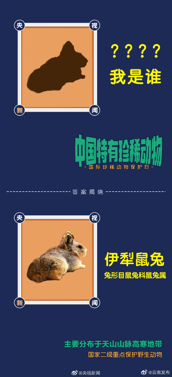 “云南发布”微博