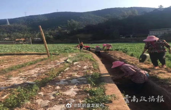 昆明盘龙发布