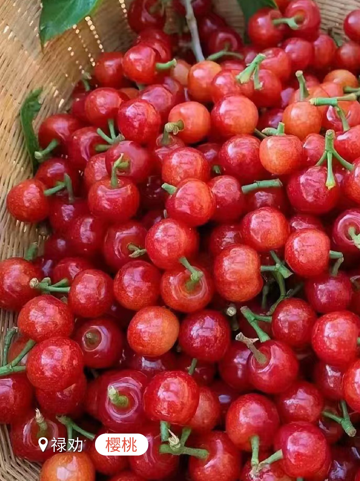 云南省文化和旅游厅