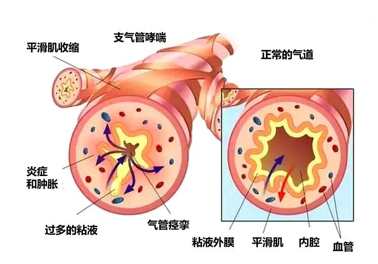昆明市中医医院