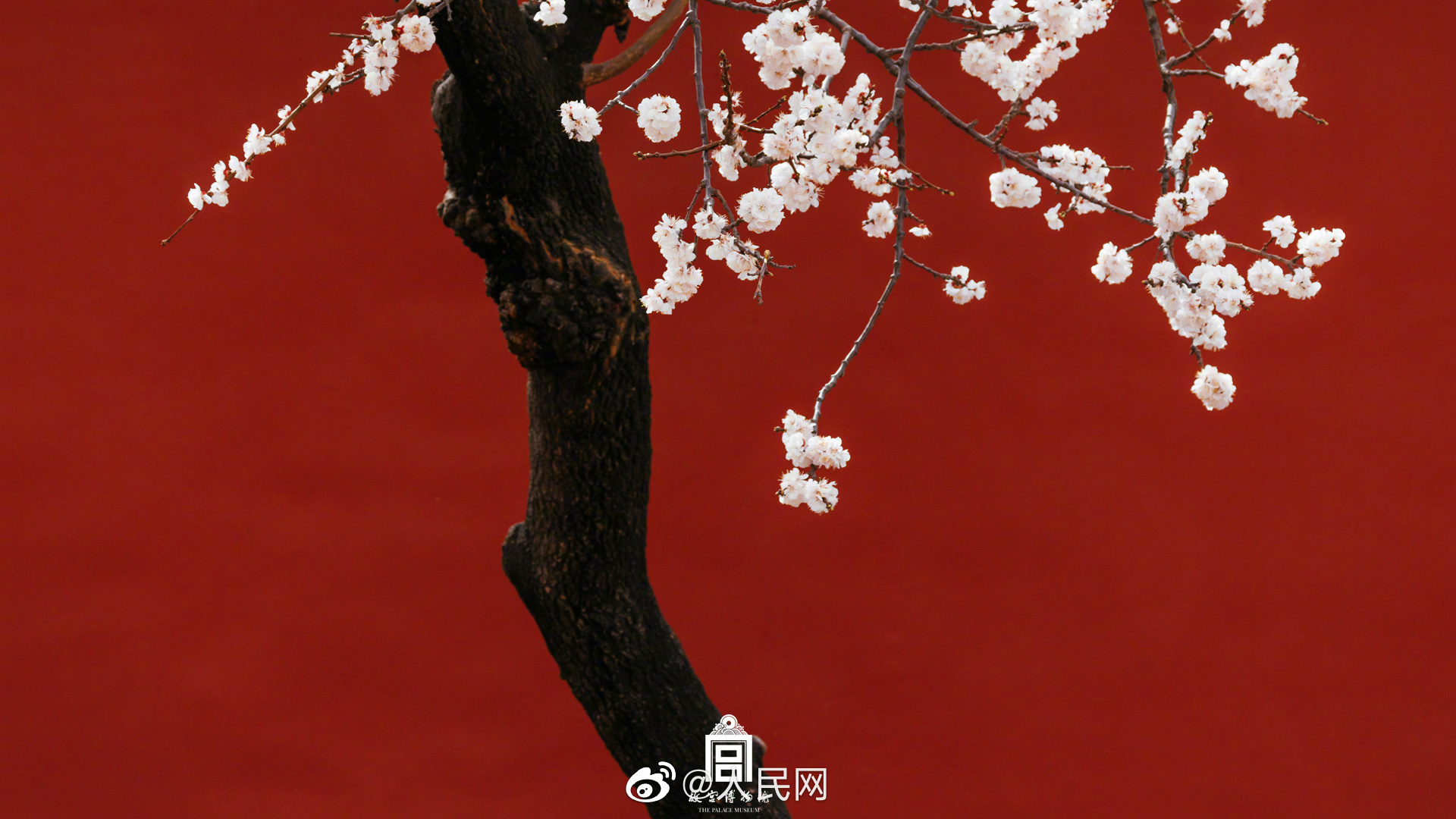 人民网