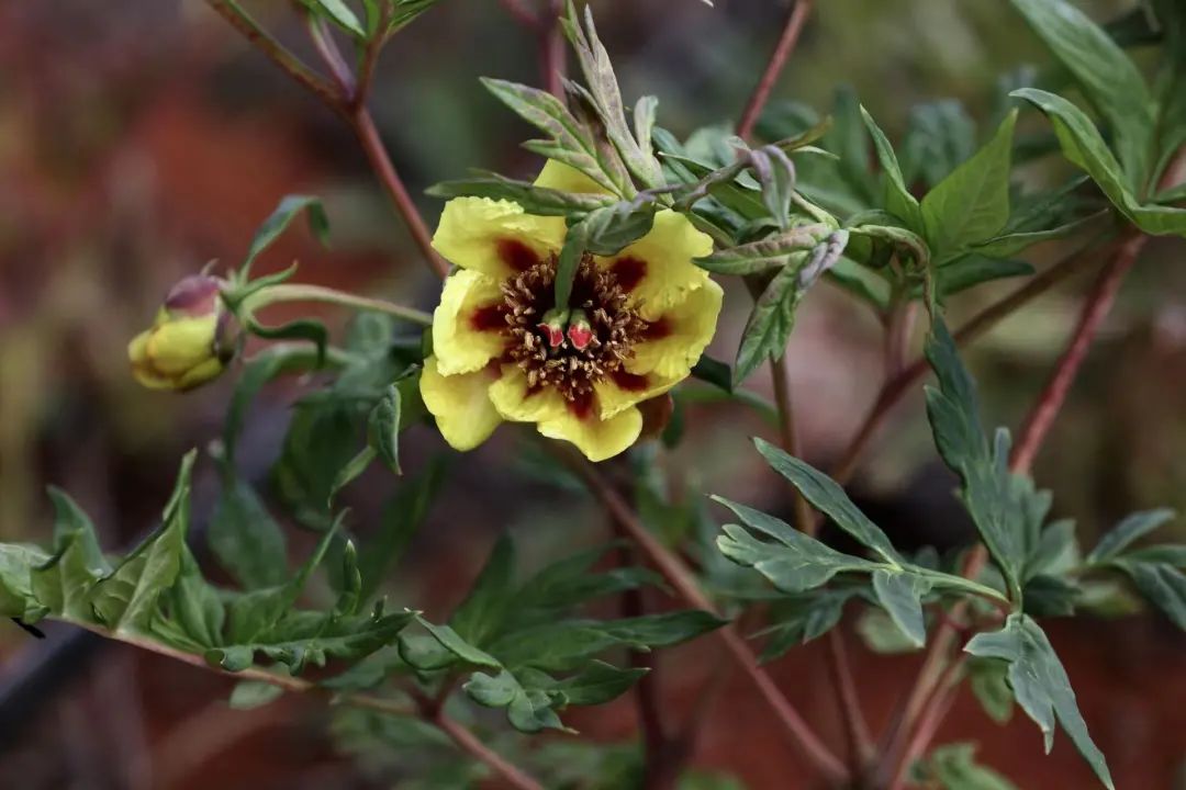 昆明阳宗海风景名胜区