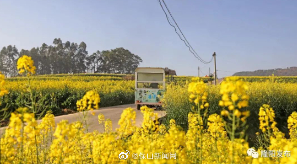 保山新闻网