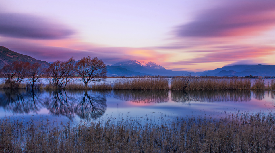 云南省文化和旅游厅