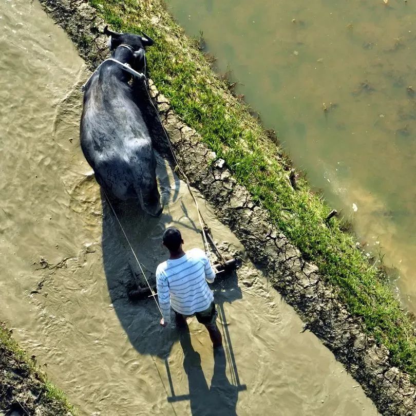 云南省文化和旅游厅
